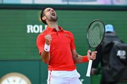 开云APP-法国网球队力克世界网球队，德约科维奇完成帽子戏法的简单介绍