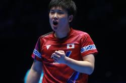 开云下载-包含波兰队力克奥地利队，张本智和带队取胜的词条