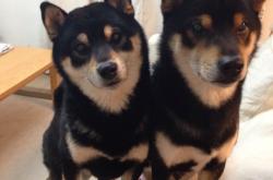 开云体育下载-阿什拉夫锁死里昂，马里绝杀定乾坤，一场防守艺术与致命一击的胜利