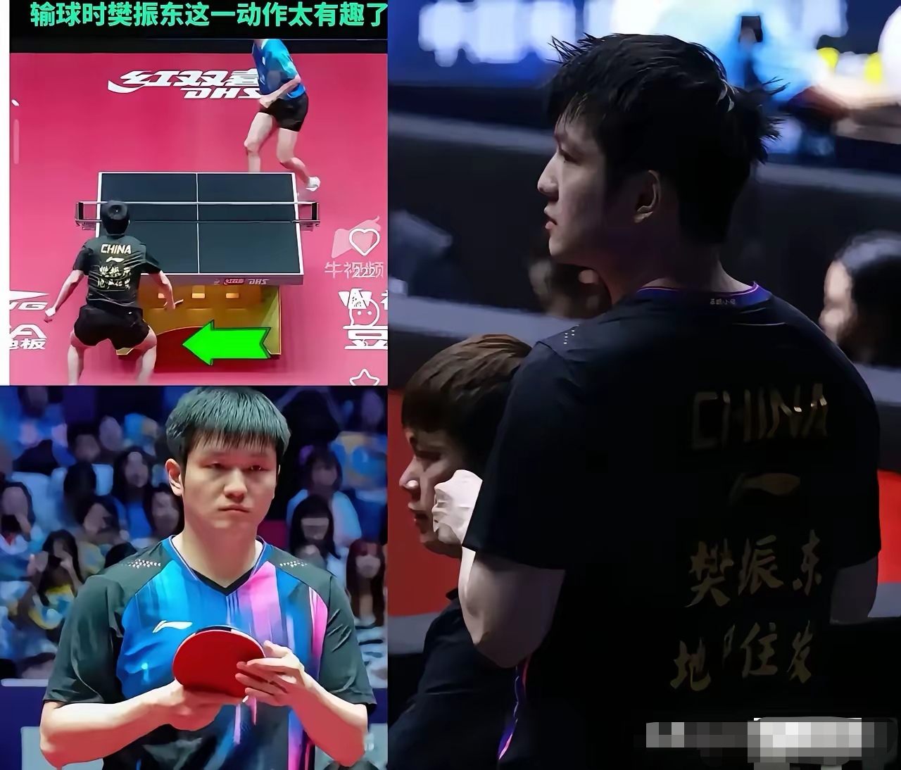 关于奥地利乒乓球队轻取瑞典乒乓球队，樊振东送出助攻的信息