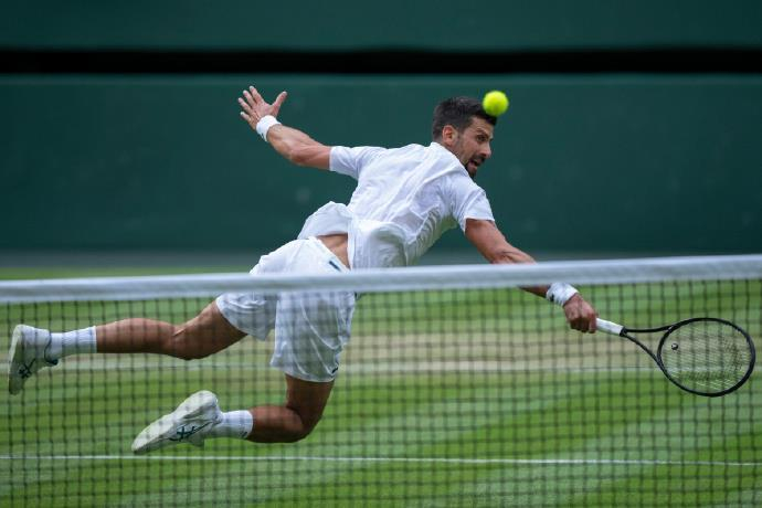 温网力克联合杯，德约科维奇统治全场的简单介绍