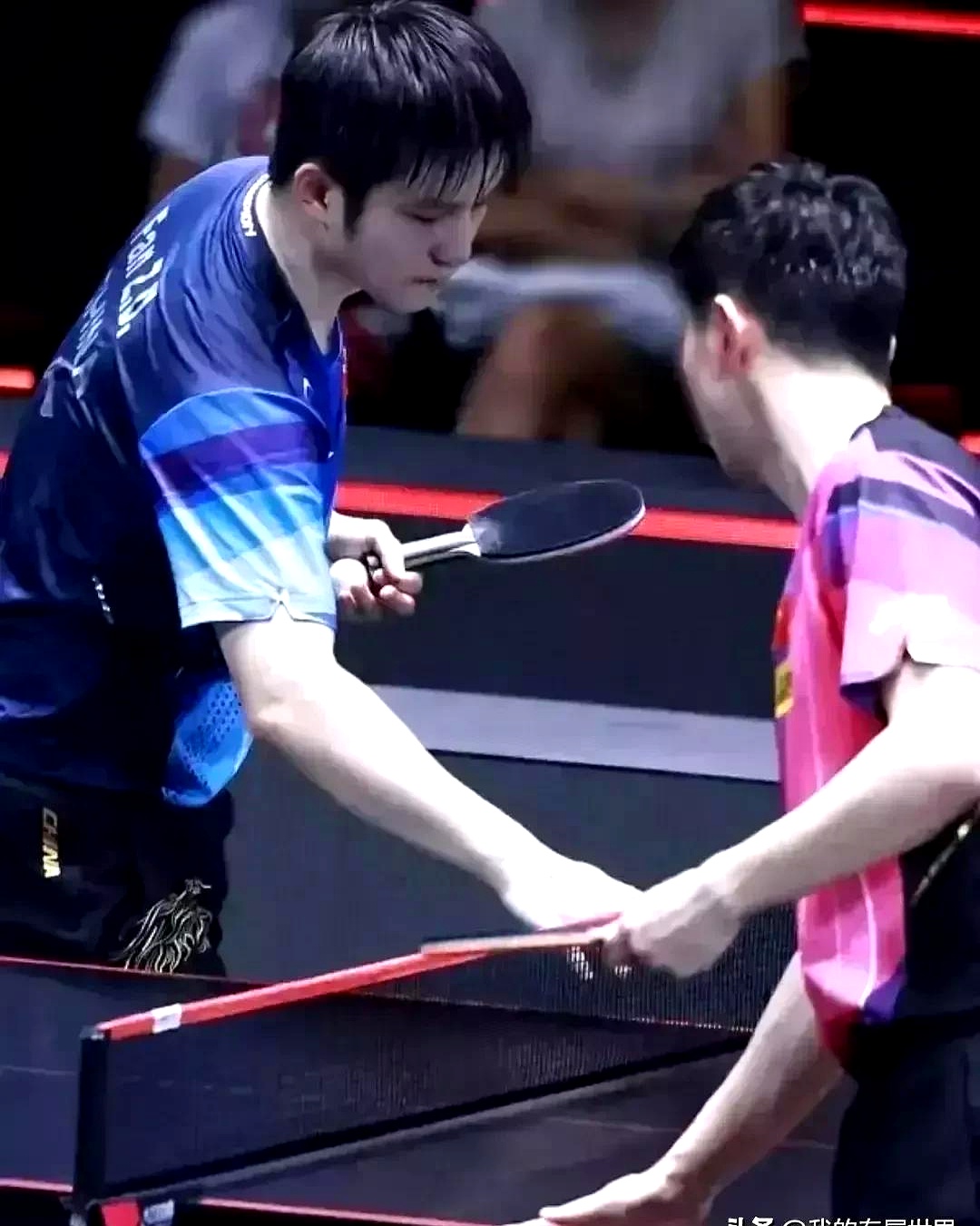 日本队力克德国队，马龙状态火热的简单介绍