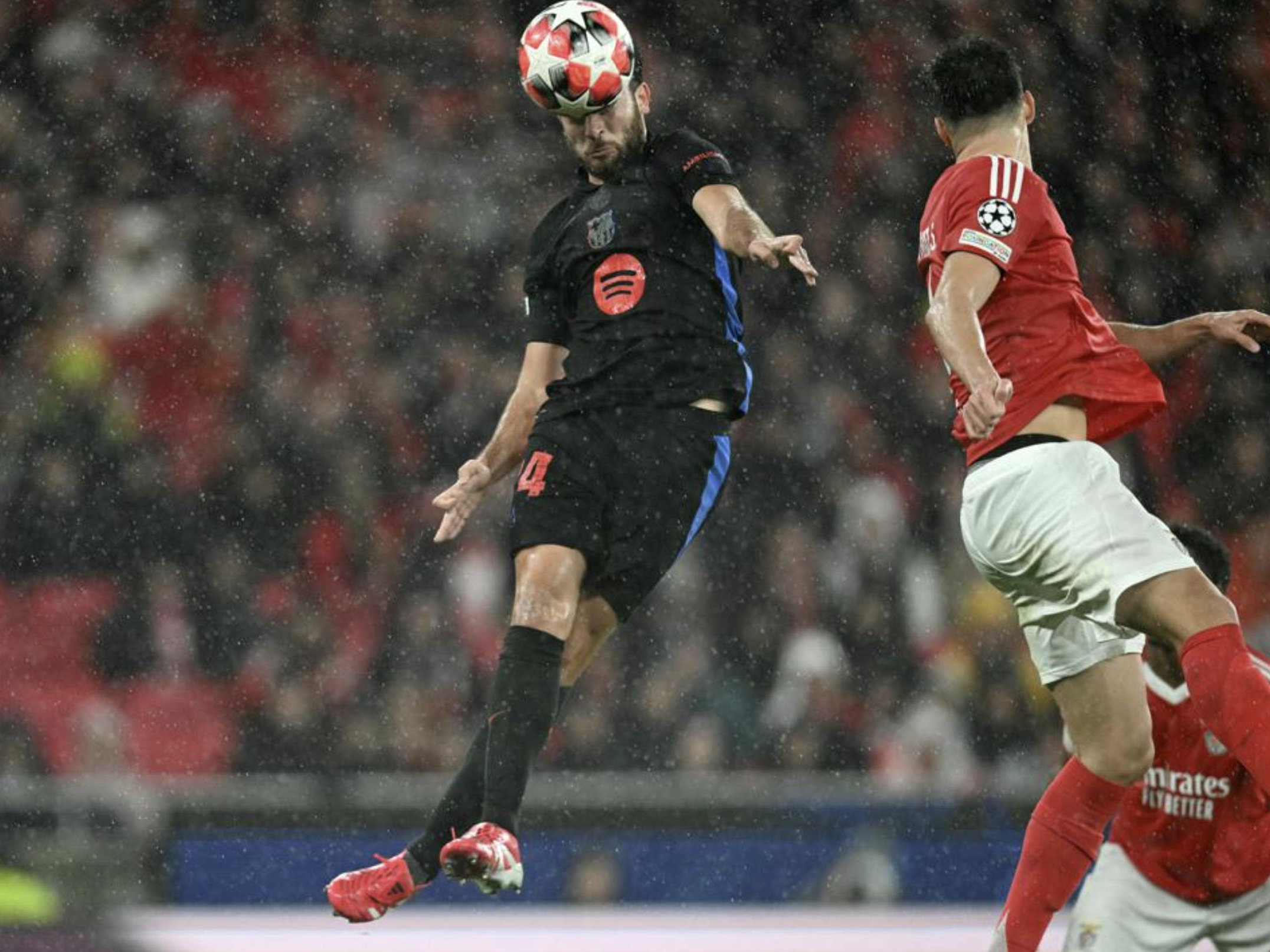 西班牙篮球联赛：巴塞罗那主场失利