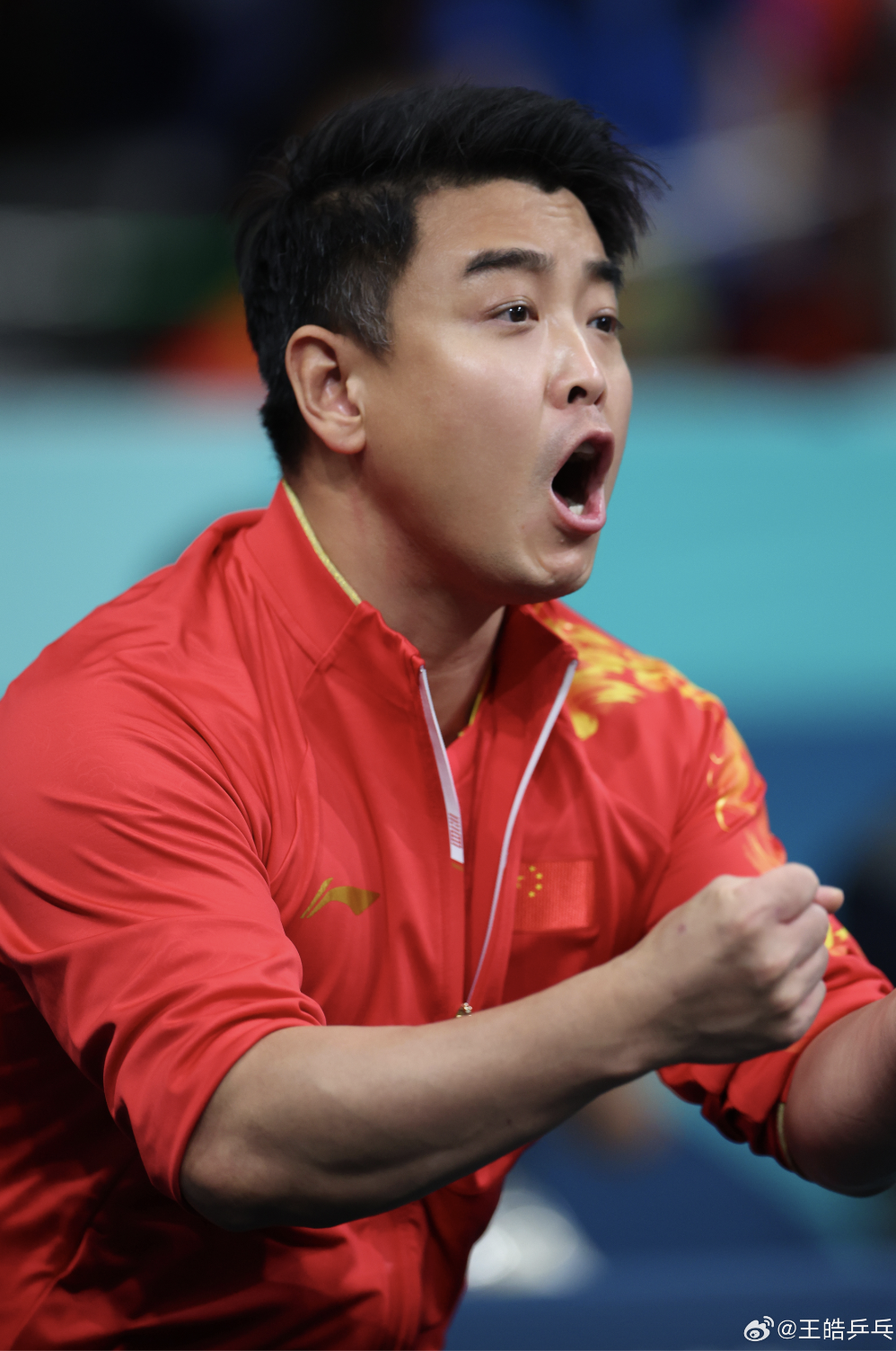 英国乒乓球队绝地反击波兰乒乓球队，王皓高光表现的简单介绍