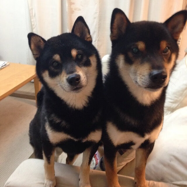 阿什拉夫锁死里昂,马里绝杀定乾坤,一场防守艺术与致命一击的胜利