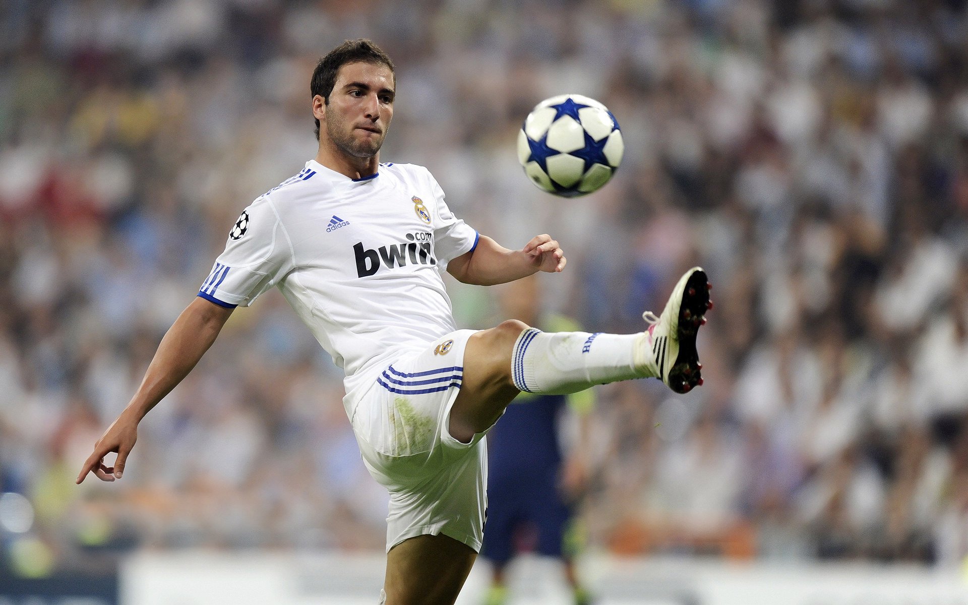 佛罗伦萨封锁牙买加，当战术铁幕，遇上佩德里的大舞台法则